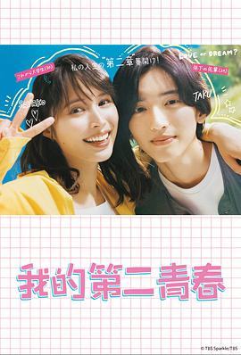 揭阳矩阵seo多少钱